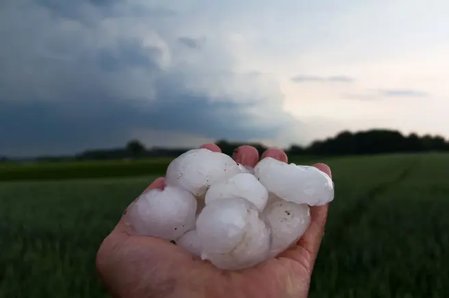 A hand holding a large cluster of fused hailstones, with dark storm clouds over a green field in the background