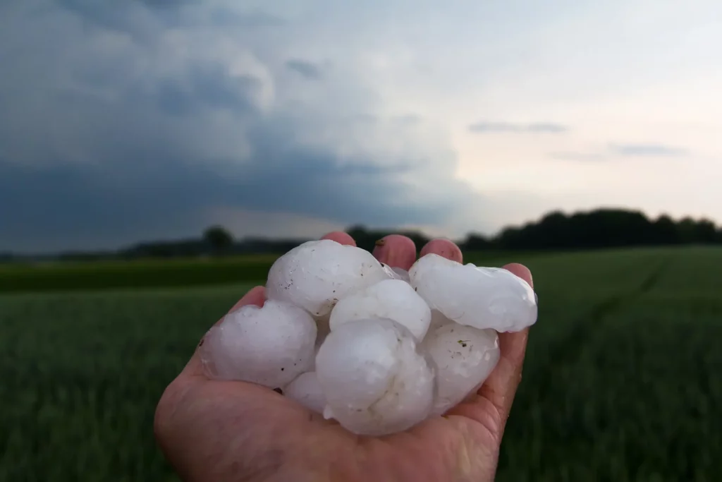 Hand holding large hailstones in front of a green field under storm clouds